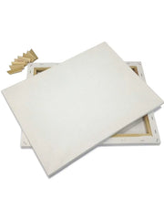 Bview Art 2pcs 30x40cm 100% Cotton 280g Blank Stretched Canvas Oil Acrylic & Pouring Art